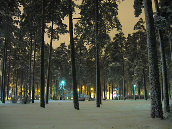 &Ouml;inen Parantolanpuisto